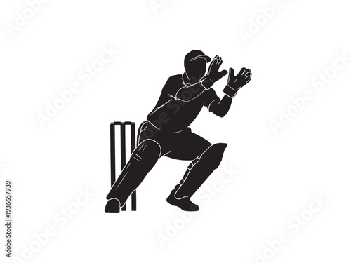 Cricket wicketkeeper catching ball in dynamic silhouette.