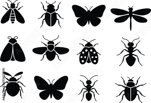 Insect silhouette icon collection including butterfly bee dragonfly beetle ant and ladybug, simple bug wildlife vector set isolated on white background