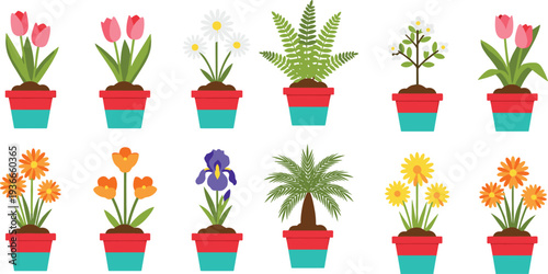 Potted Flower Plants Vector Set Featuring Colorful Indoor and Outdoor Decorative Houseplants with Blossoms Leaves and Garden Pots for Nature Design Collection