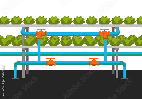 A modern hydroponic system irrigates leafy greens. Clear pipes and adjustable valves showcase efficient water reuse. Clean, bright, and visually appealing.