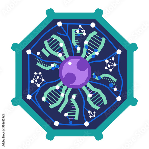 Visualize cellular repair and aging reversal! This vibrant stylized graphic showcases DNrepair mechanisms within a cell highlighting a modern bio-age concept