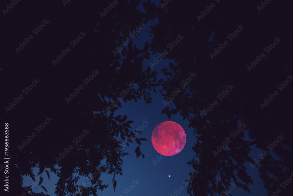 Fototapeta premium Lunar eclipse, stars and planets above landscape silhouettes.