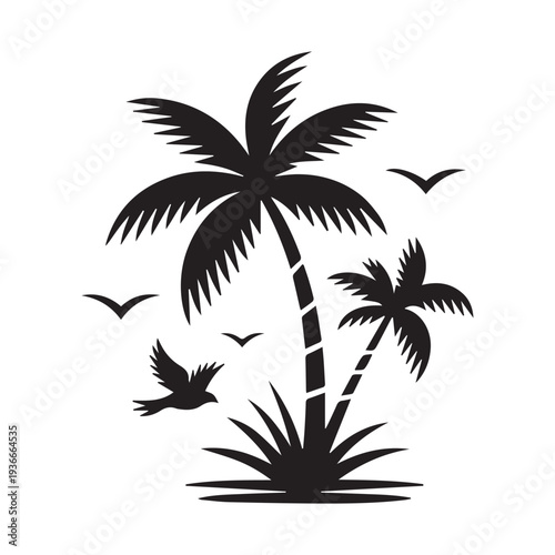 silhouette of palm tree