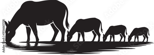 Black silhouette family of buffaloes drinking water together on dry land