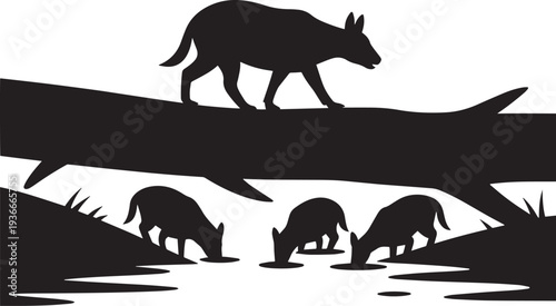 Black wolf pack silhouette walking on fallen tree trunk and drinking from river lake water