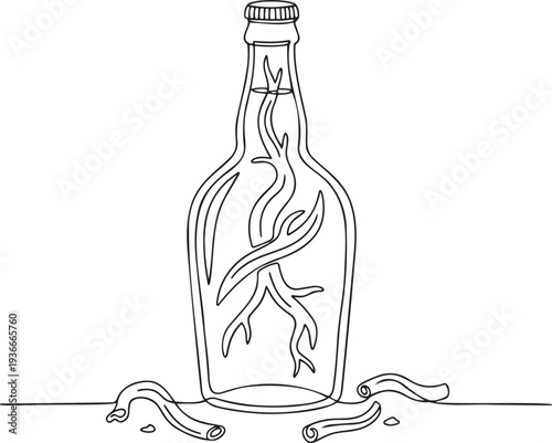 Glass bottle with infused ginseng roots in continuous one line drawing. Traditional herbal medicine drink in simple linear style. Asian health elixir in editable stroke. Doodle oneline vector art.