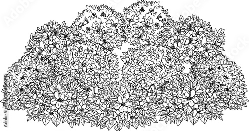 flowering bushes in a lush garden arrangement