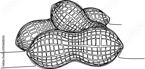 Elegant continuous line drawing of peanuts with an abstract grid shell