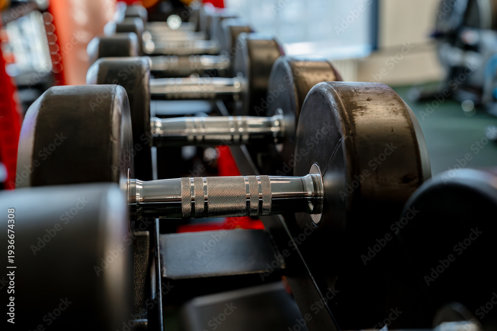 Fototapeta premium Different dumbbells in the gym