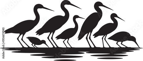 Herons birds water silhouettes vector illustration, various sizes long legged birds