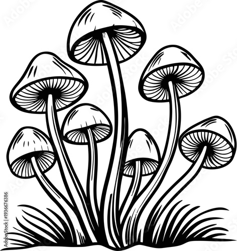 Cluster of wild mushrooms with elongated stems and rounded caps growing in grass