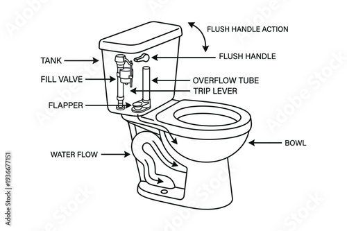 Toilet Tank Parts Diagram Guide