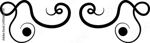 Swirl line divider, Curly decorative doodle, fancy ornament border