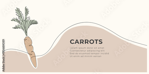 Vertical banner with carrot. Carrot drawn by hand with a single continuous line. Food illustration in doodle style. Simple art. Black and white art.	
