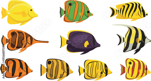 Tropical fish collection with colorful coral reef aquarium species, exotic marine fish set isolated flat vector illustration