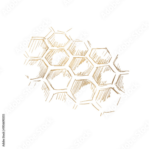 Hand drawn golden honeycomb cells in vintage engraving style. Hexagon pattern inspired by natural bee honeycomb structure for packaging, beekeeping, organic design