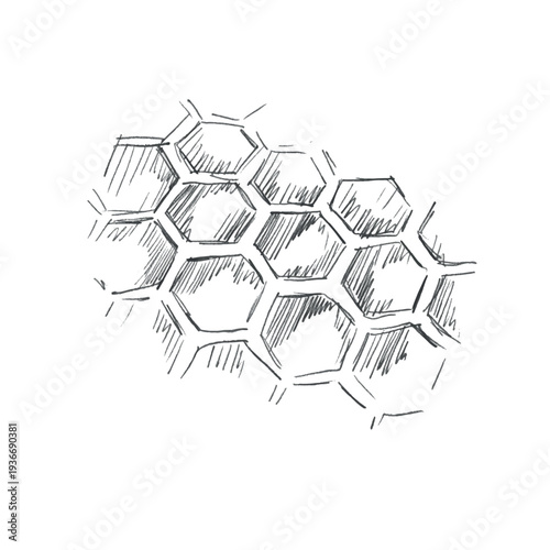 Hand drawn honeycomb cells in vintage engraving style. Hexagon pattern inspired by natural bee honeycomb structure for packaging, beekeeping, organic design