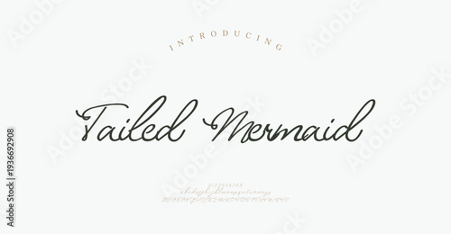 Tailed Mermaid, Elegant Script font alphabet uppercase lowercase and number. Classic lettering minimal fashion designs. Typography modern serif fonts regular decorative vintage concept.