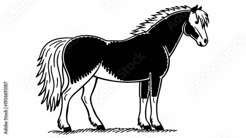 Majestic black horse with white mane and tail standing proudly