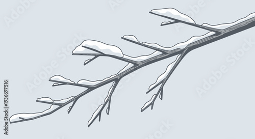 Close-up of Snow Covered Tree Branches, Winter Nature Outline on Light Background