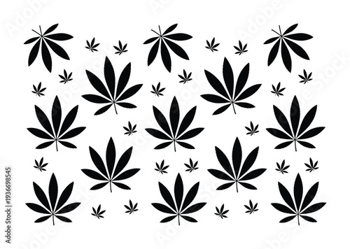 Black and White Pattern of Leaves