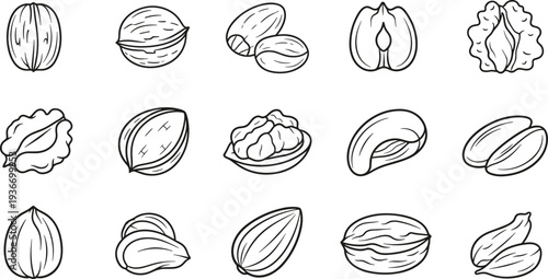Mixed nuts collection line icon set, almond walnut pistachio hazelnut outline pack, vector illustration