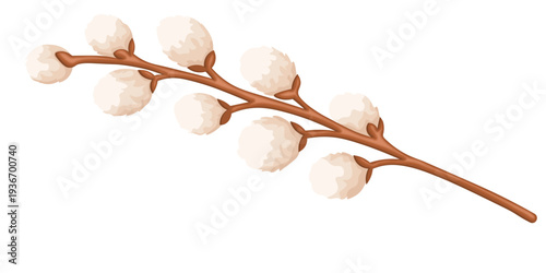 Vector cartoon image of a spring willow branch. Spring and Easter concept. Element for your design.