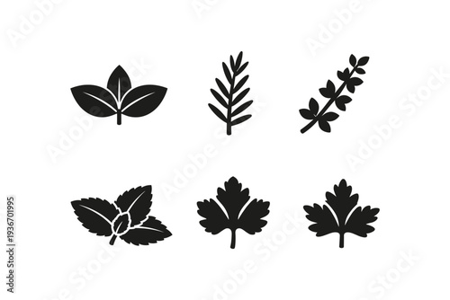 Collection of six black silhouette icons representing different types of herbs and leaves