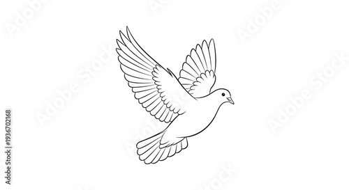 Simple line drawing of a white dove flying gracefully through the air with its wings spread wide representing peace and freedom.