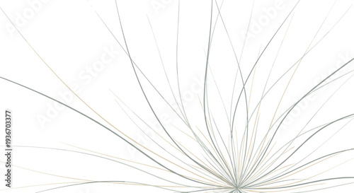 Abstract burst of thin wispy lines radiating from a single point in subtle grey and tan tones on a plain white background.