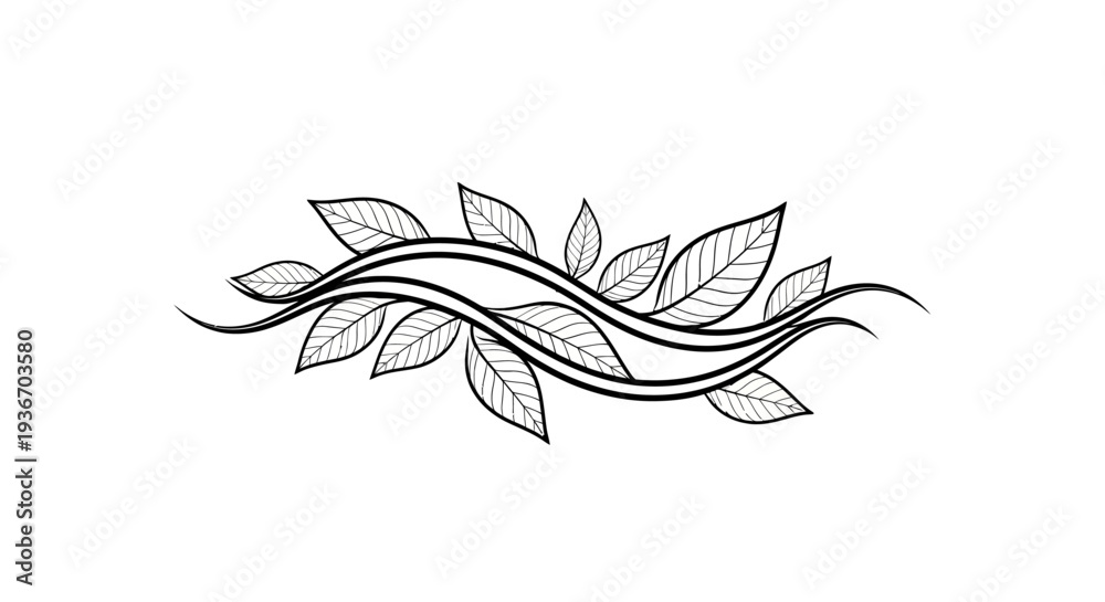 Fototapeta premium Stylized Leafy Vine Divider or Border Element, Elegant Botanical Design on Isolated White Background