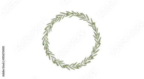 Delicate circular wreath made of green olive branches with small olives on a plain white background for peace and purity.