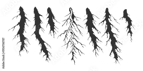 Abstract a silhouette representation of tree roots, revealing the intricate structures and complex network. a monochrome artistic portrayal of nature's subterranean world.