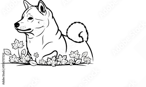 A line drawing of a Shiba Inu dog sitting amongst autumn leaves