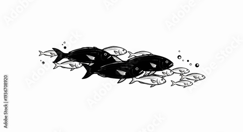 A school of fish, with larger dark fish leading smaller light fish