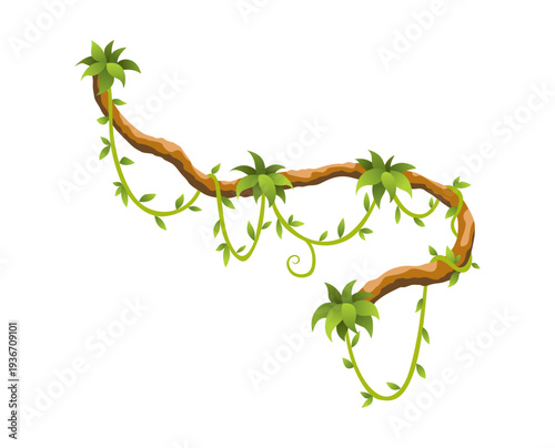 Liana branch. Twisted wild jungle vine plants. Woody natural tropical rainforest, exotic botany element. Vector design element