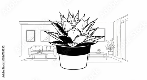 A succulent plant in a pot is the focus in a sketched room with furniture