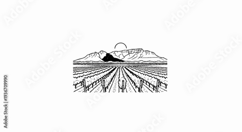 Stylized drawing of a vast vineyard stretching toward a mountain range with a sun motif