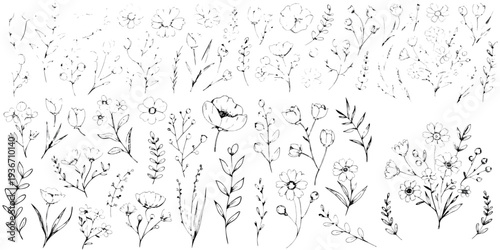 Gemini said

Seamless grunge floral pattern background with vector sketches of funny cartoon forest animals and fairytale characters in a coloring book style outline drawing