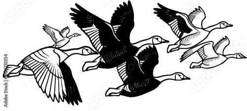 A group of geese fly together in formation across a blank background