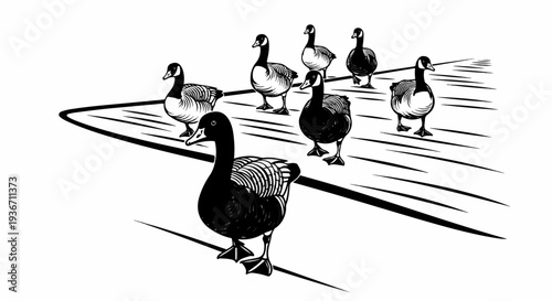 A flock of geese stands in formation on a pathway with a leading goose