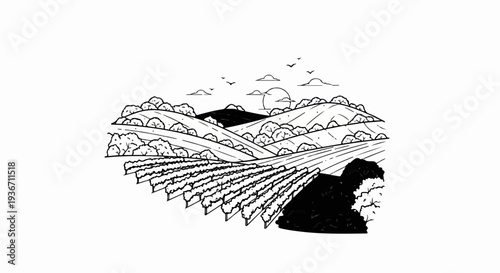 Hand-drawn sketch of rolling hills and vineyards under a partly cloudy sky at sunrise