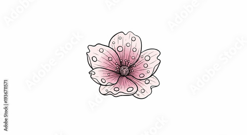 Delicate pink flower with water droplets, hand-drawn style