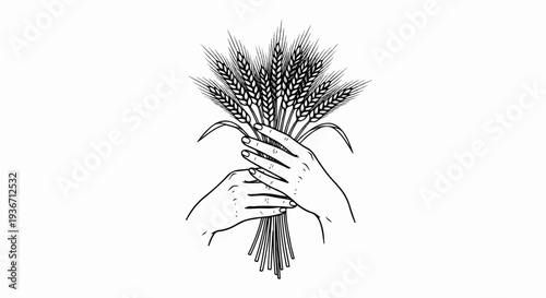 Delicate line art of two hands holding a bundle of wheat stalks
