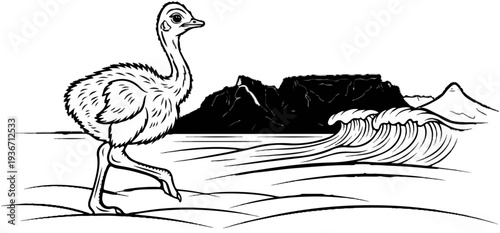 Young ostrich walks by the sea with a mountain in the background