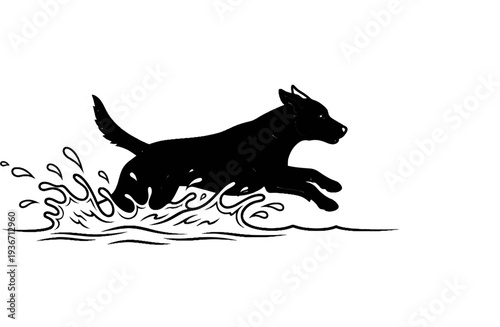 Black dog splashing through water in a playful sprint