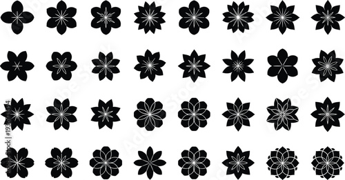 Variety of Floral and Flower Vector Designs with Multiple Petals and Patterns