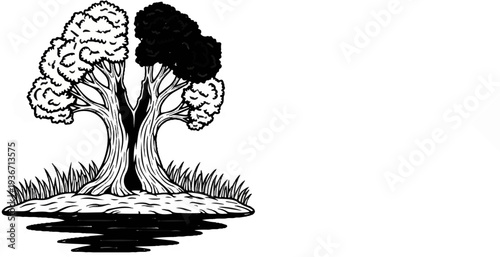 Split tree with dark and light foliage stands on grassy bank reflecting in water