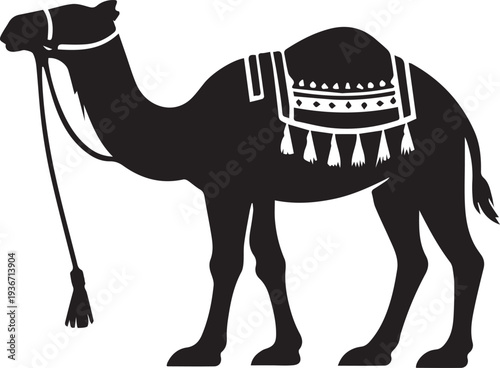 Camel vector illustration