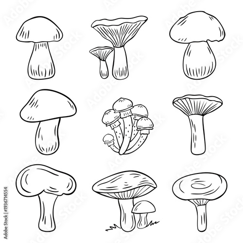 Set of hand drawn mushroom line art illustrations. Forest fungi doodles isolated on white background. Perfect for coloring books, botanical designs, autumn themes, and icons.